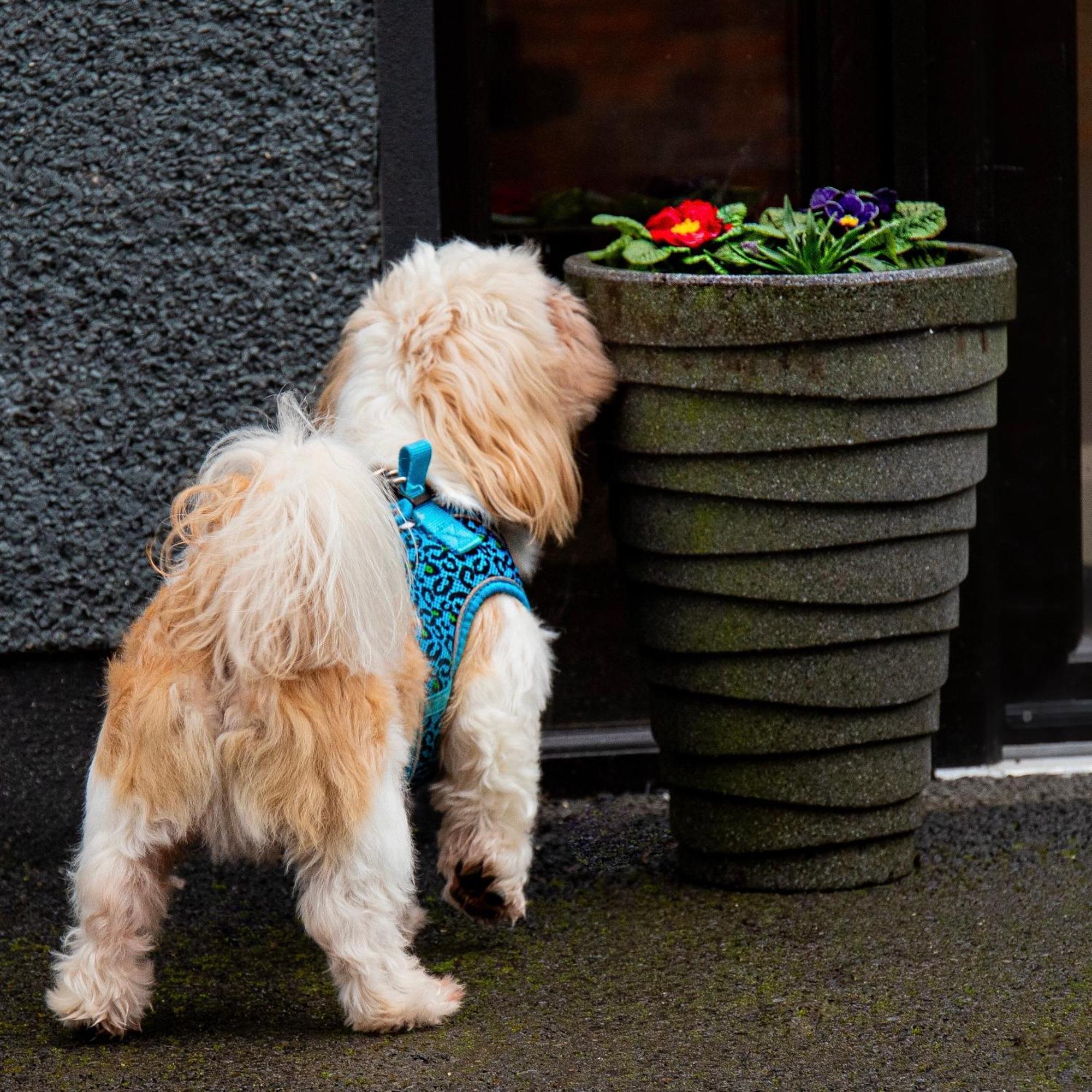 The Enniskillen Hotel And Motel エクステリア 写真
